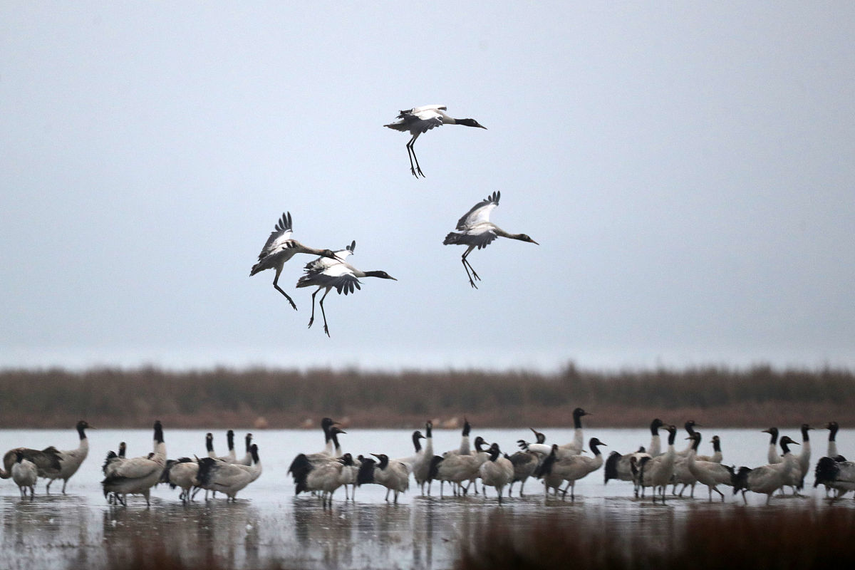 贵州2023年读中专读什么专业好