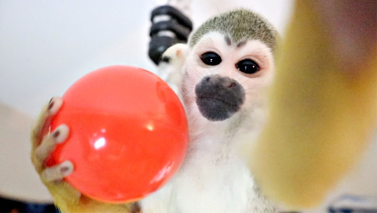 2023年贵州优秀职业学校介绍