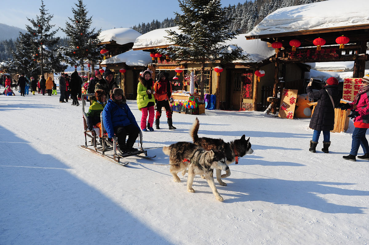 黑龙江省林业卫生学校招生条件 - 报名条件及特色教学