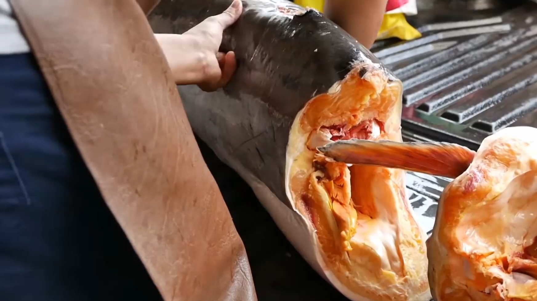 60斤重的大鲶鱼,切开一看肉是黄色的!500元一份值当吗?