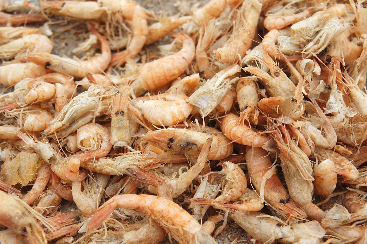 山东畜牧兽医职业学院食品检测及管理专业怎么样