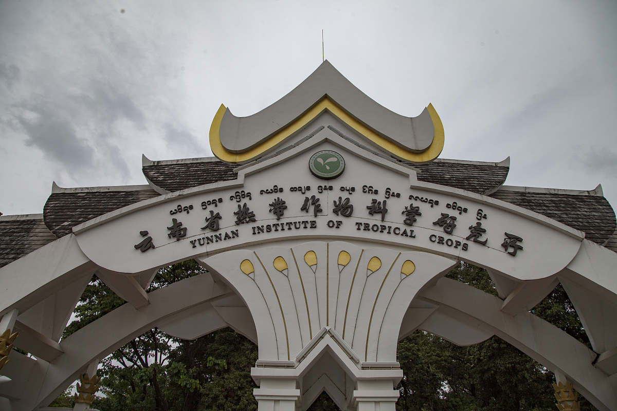 云南省监狱管理局技工学校2022年招生专业：机械制造、电子信息、计算机等