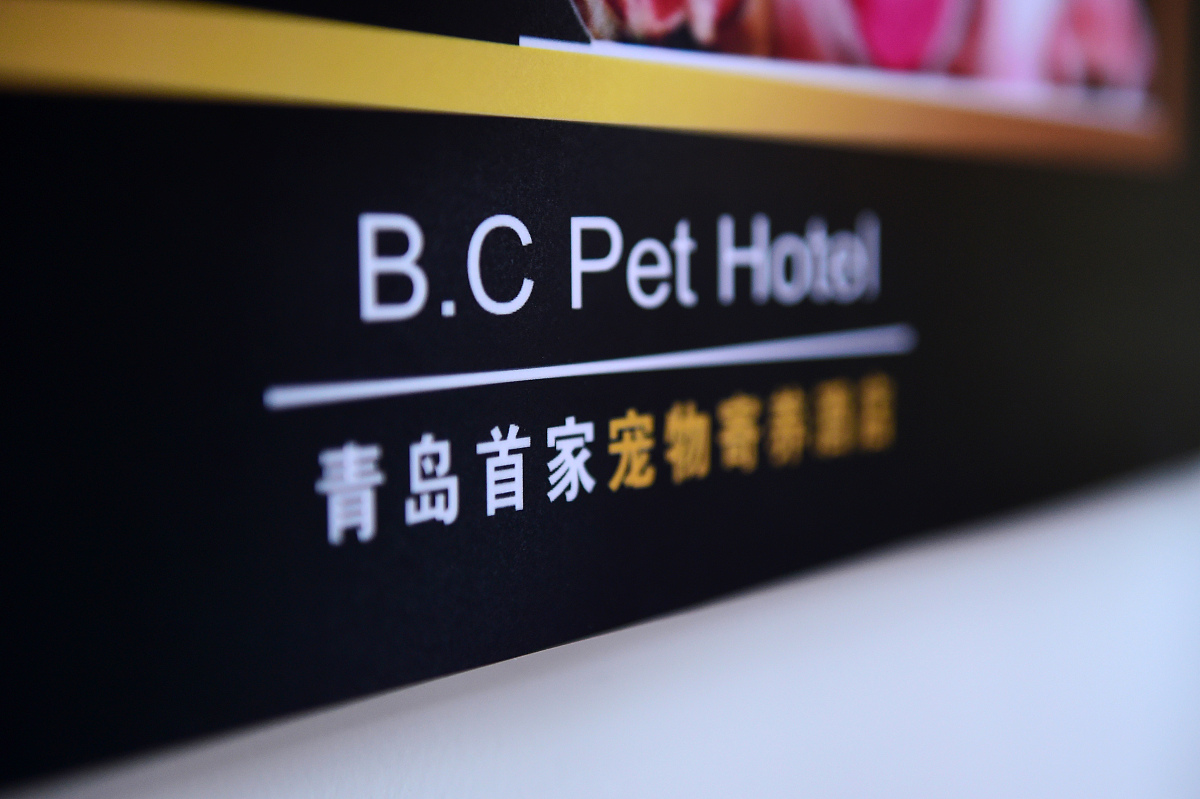 ‘日子很狗我不敢骂他我怕疯狂咬我’ 这句话背后的深层含义