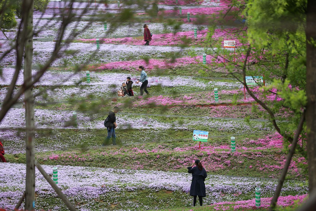 2019年毕节市财贸学校招生简章 - 经济管理类专业，校企联招，欢迎报考