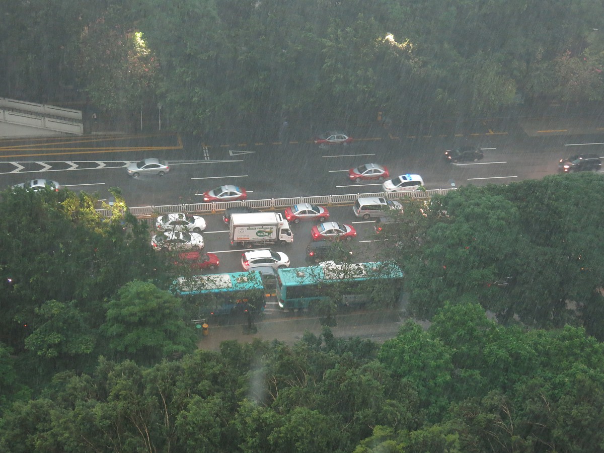 写一个表代爱情的古诗