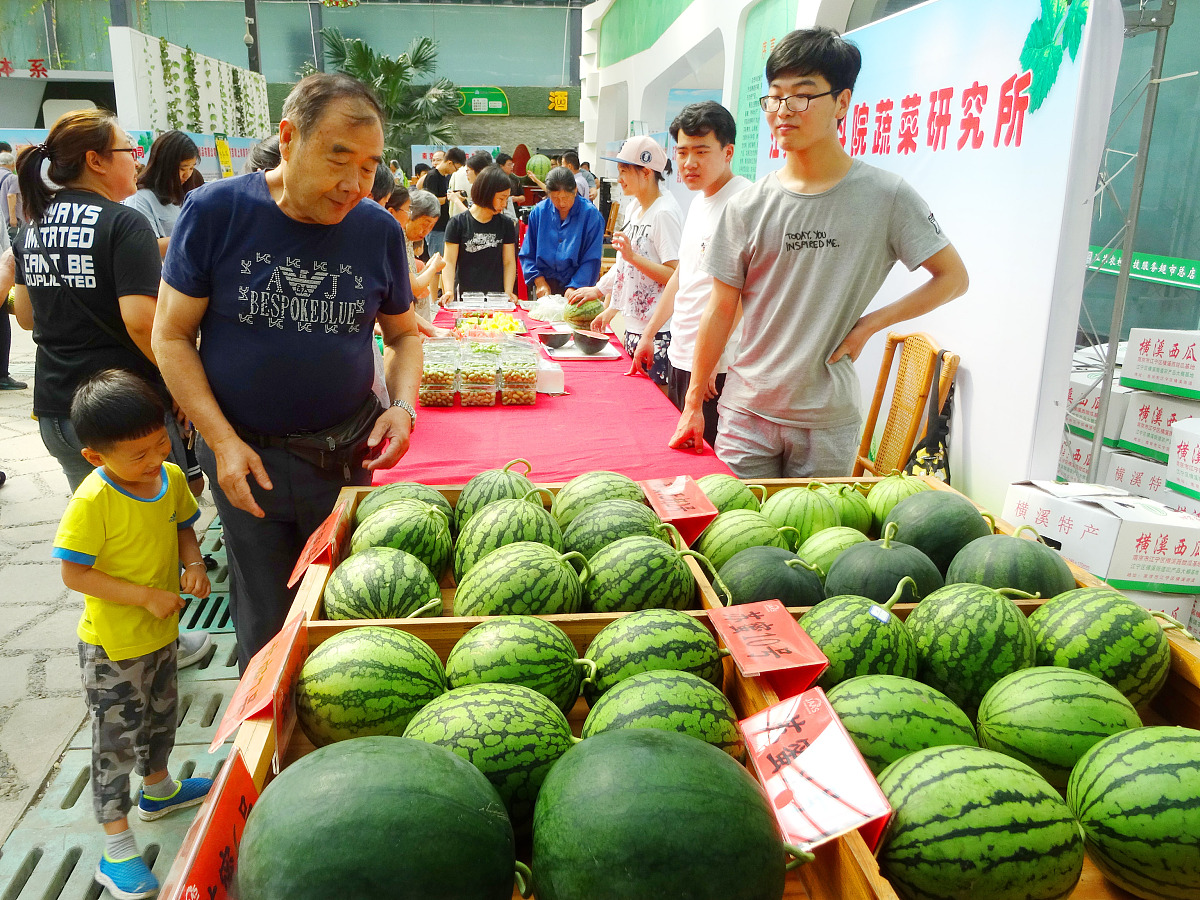 南充职业技术学院专业设置：公办本科院校，涵盖工农医教等多个领域