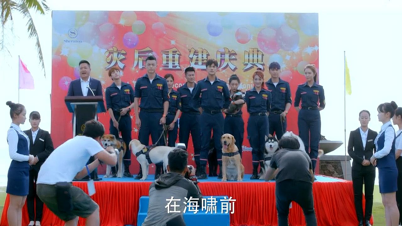 [图]神犬小七3：救援队带着狗狗们参加活动，小家伙们太可爱了！