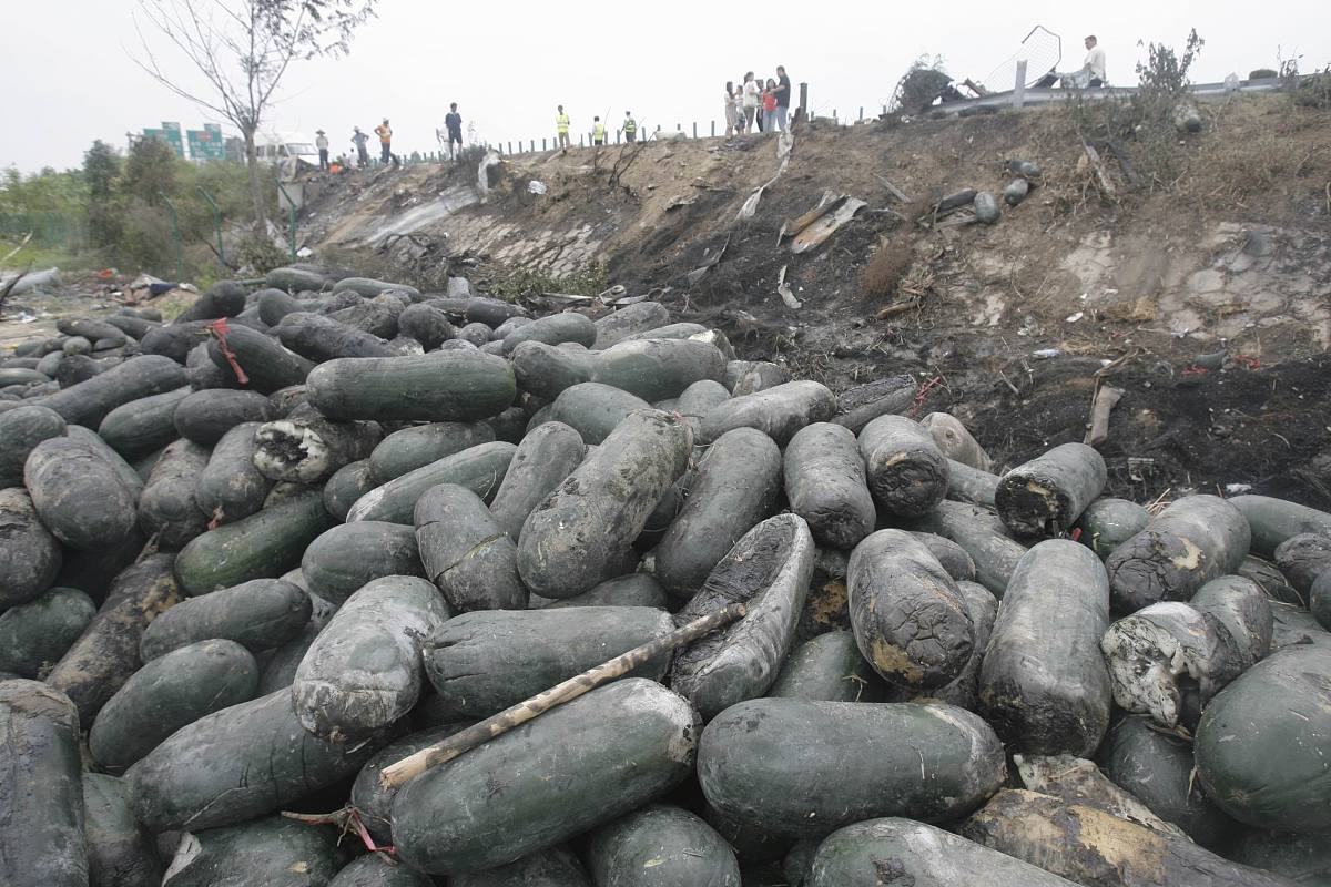 湖北省广播电视学校地址及交通路线 - 详细指南