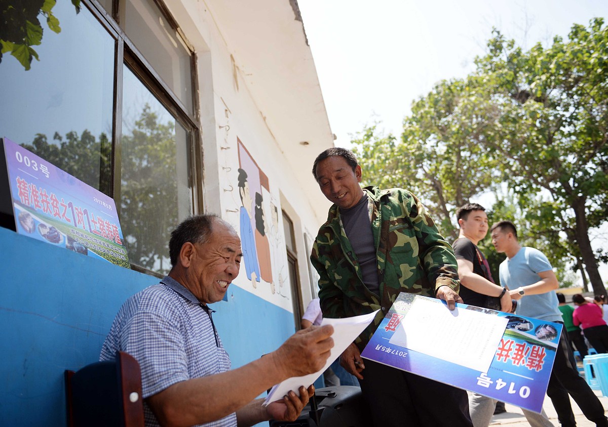 村委员志愿者社会实践报告