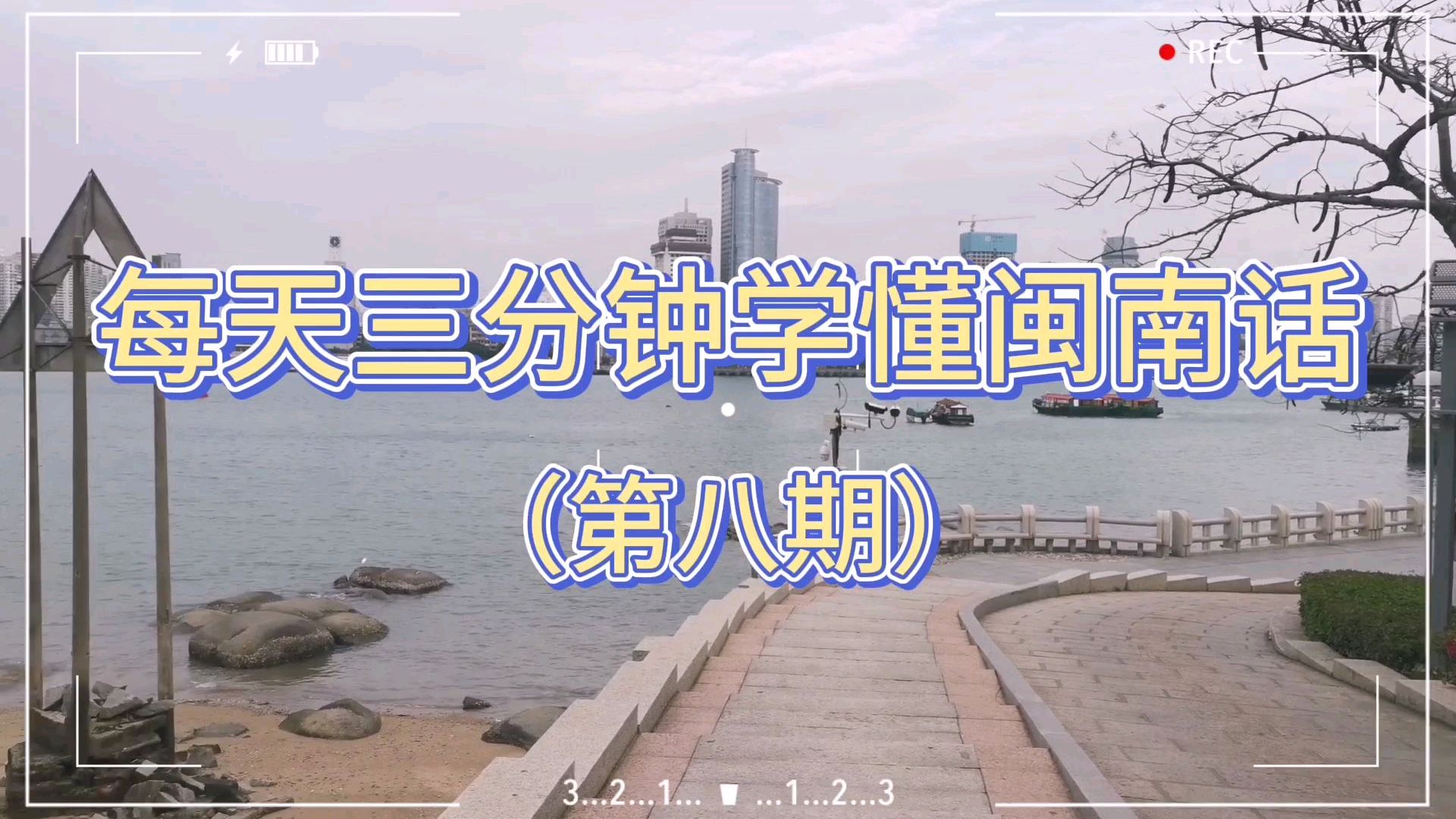 每天三分钟学懂闽南话(第八期)动物如何表达!加对话实操