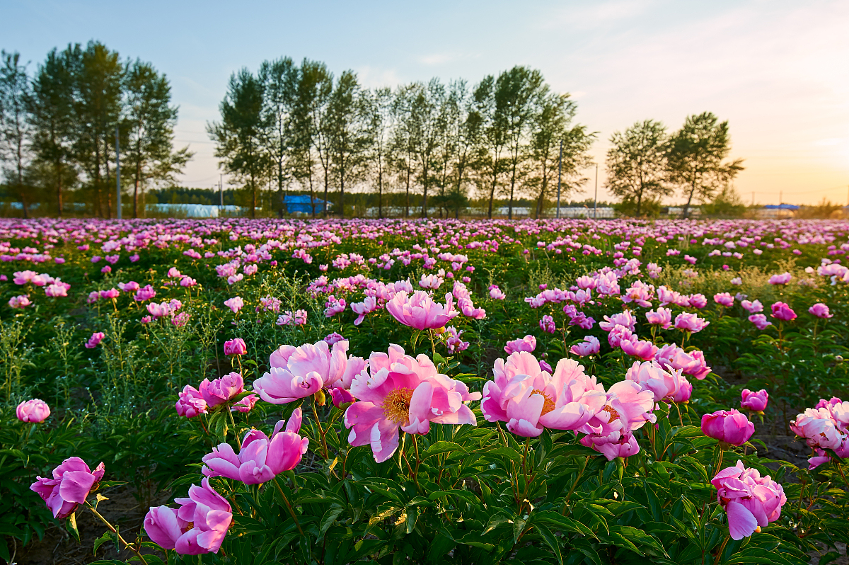 黑龙江生态工程职业学院通信技术专业怎么样？就业前景、师资力量、课程设置解析