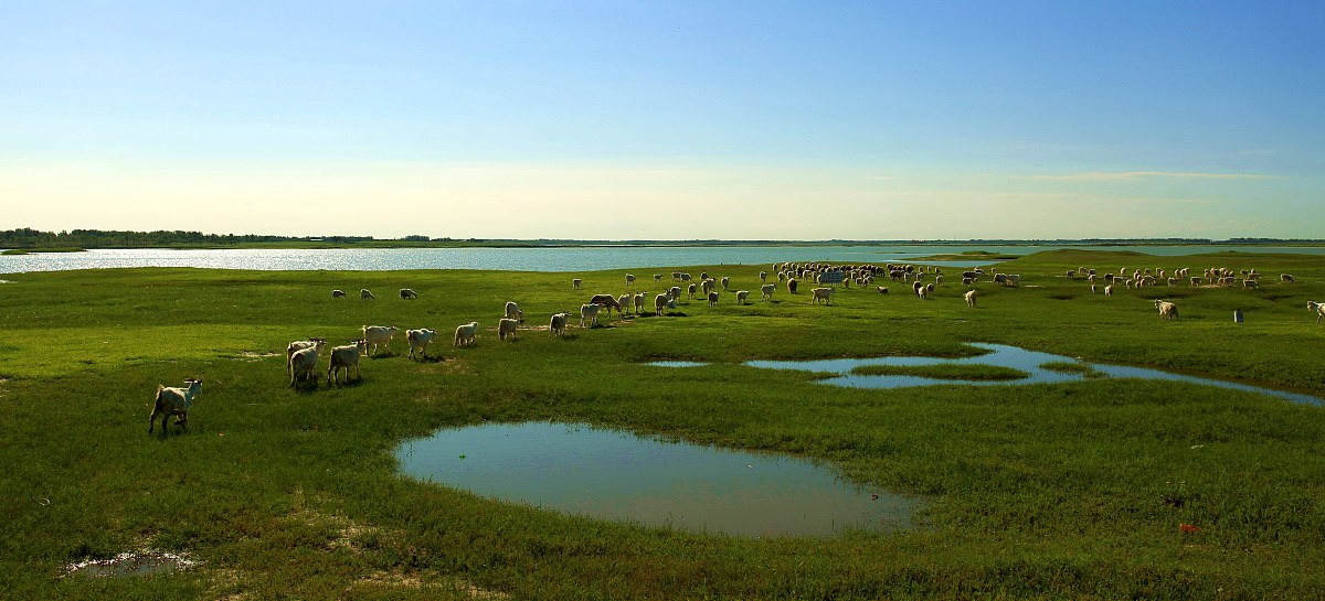 吉林白城:向海湿地