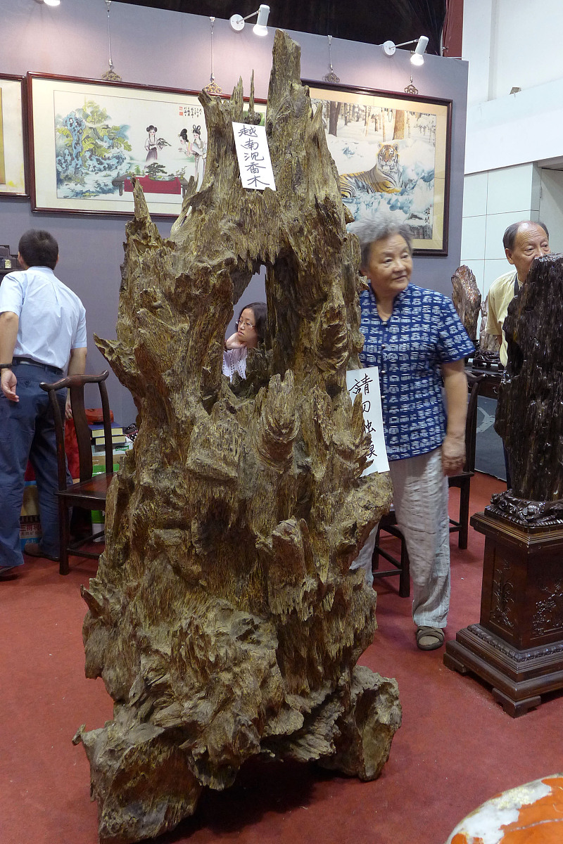 沉香产业发展经验分享：良种基地建设、加工技术、标准体系、品牌打造、科技研发