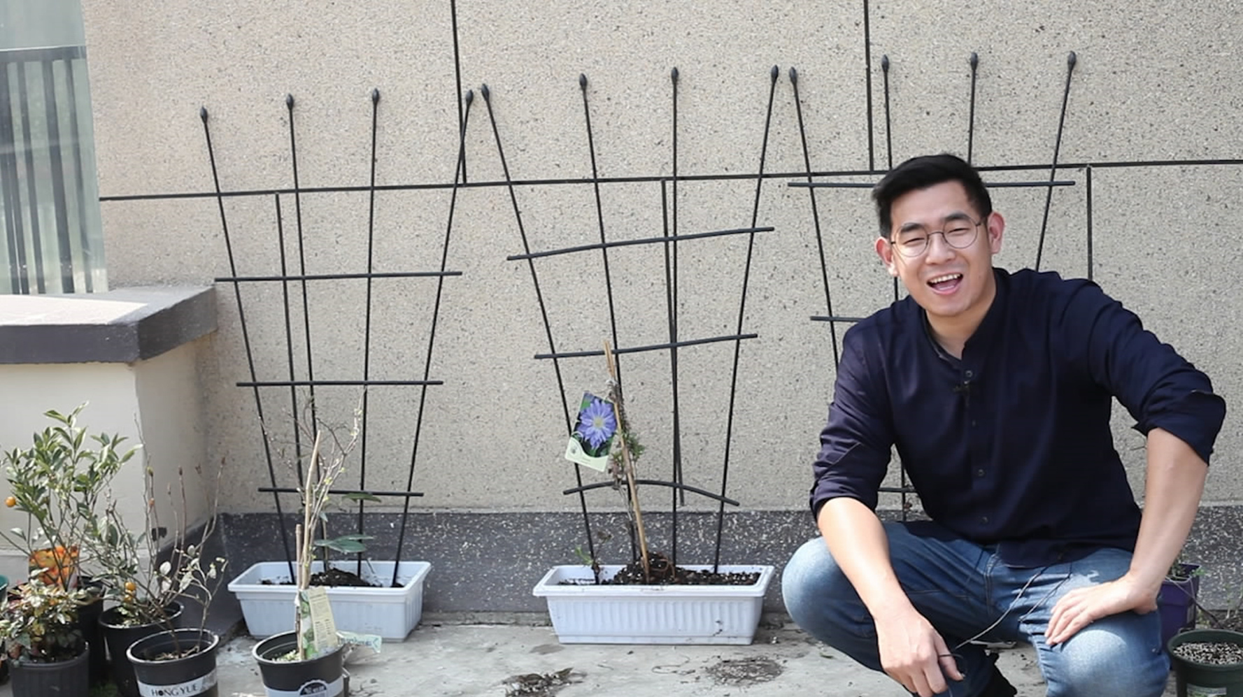 开春给铁线莲搭架子,养花小伙一次搭3盆