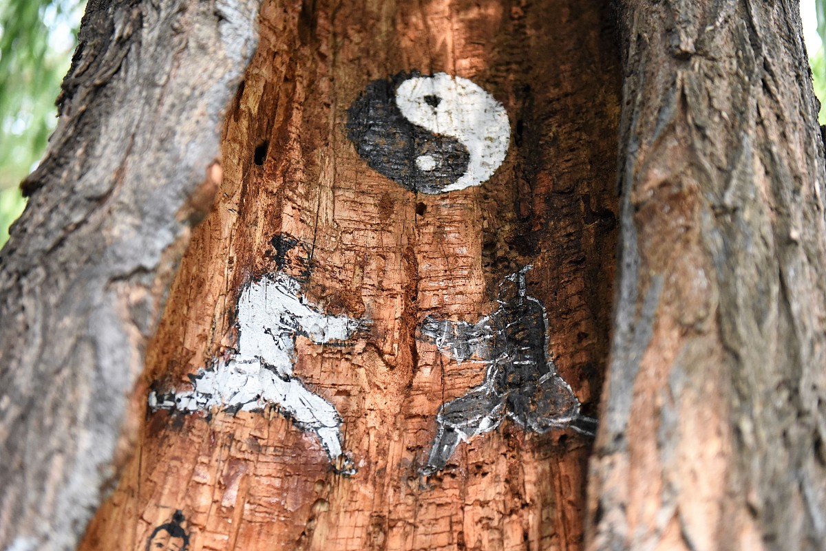 好奇一个事儿就是看到一个人物形象然后双手就像着了魔似但又感觉另一方面无意识感地想要刻画这个形象这是为什么