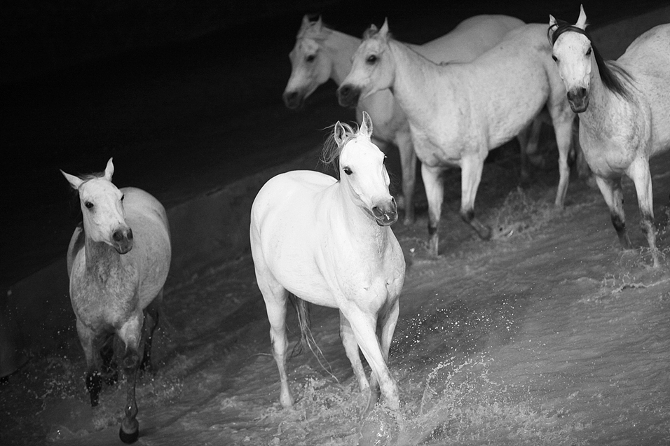 古代少女名字大全 - 好听古典的女孩名字推荐