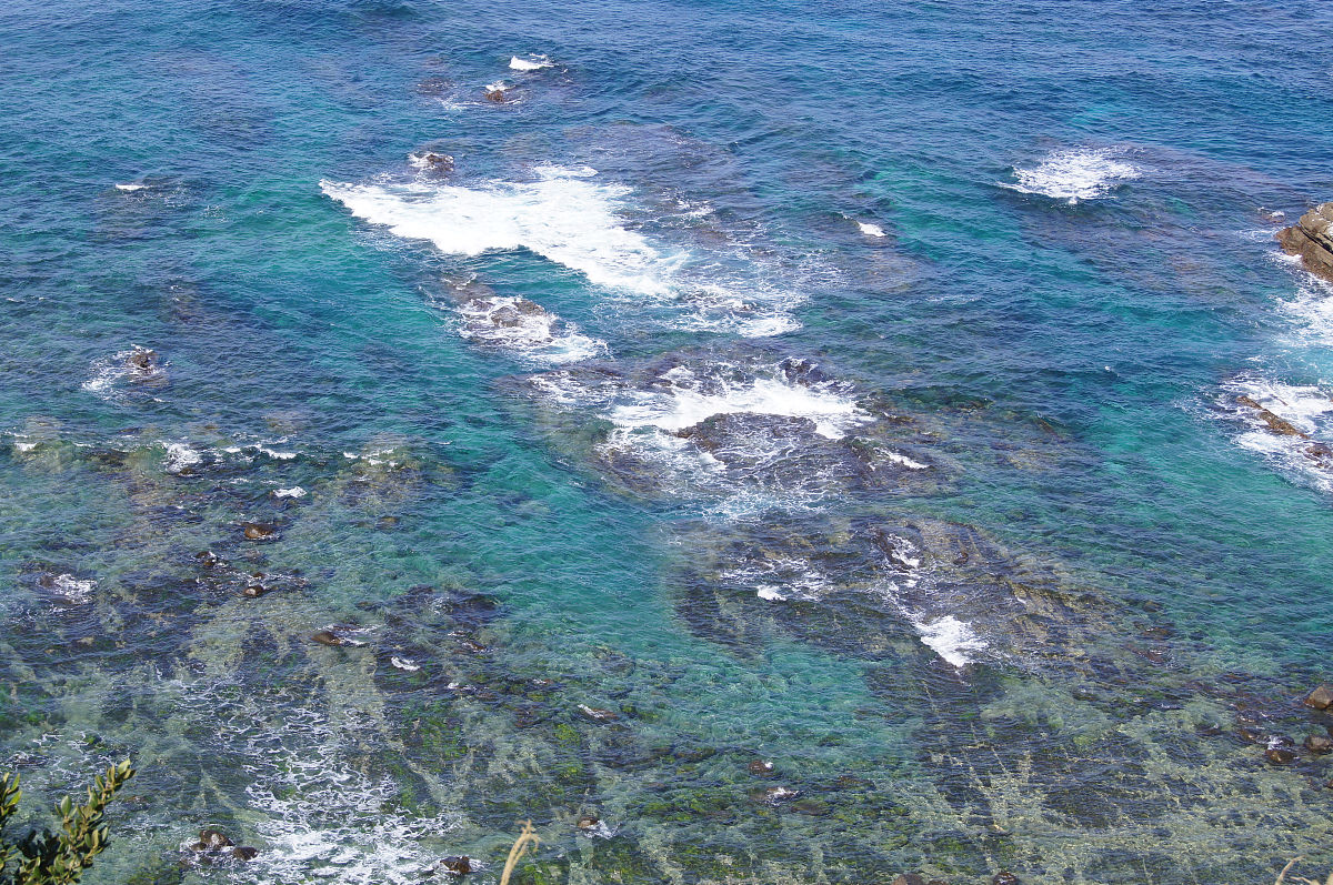 抵制日本核污水排海：为了我们的海洋、未来和生命