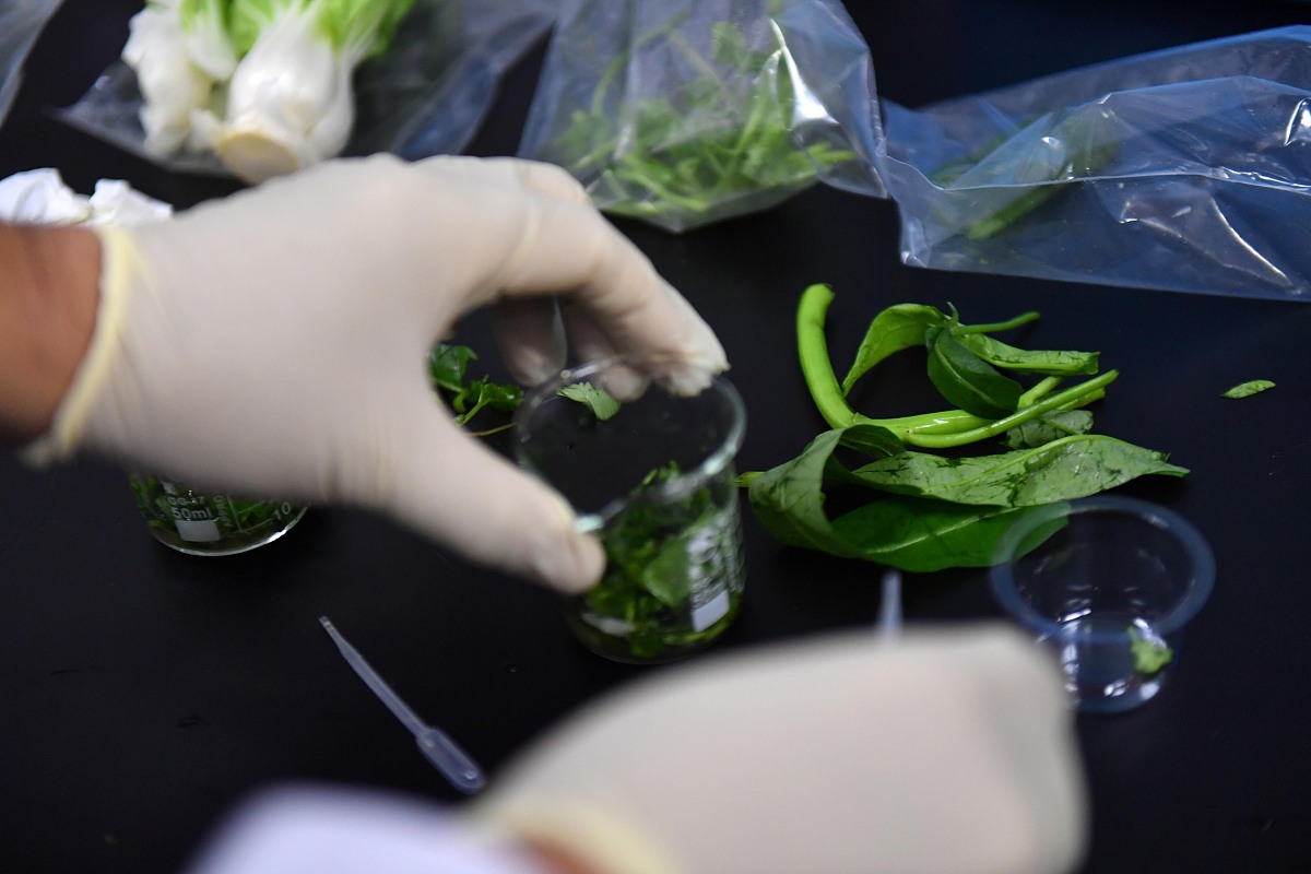 广东食品药品职业学院物流管理专业学什么？课程设置及就业方向