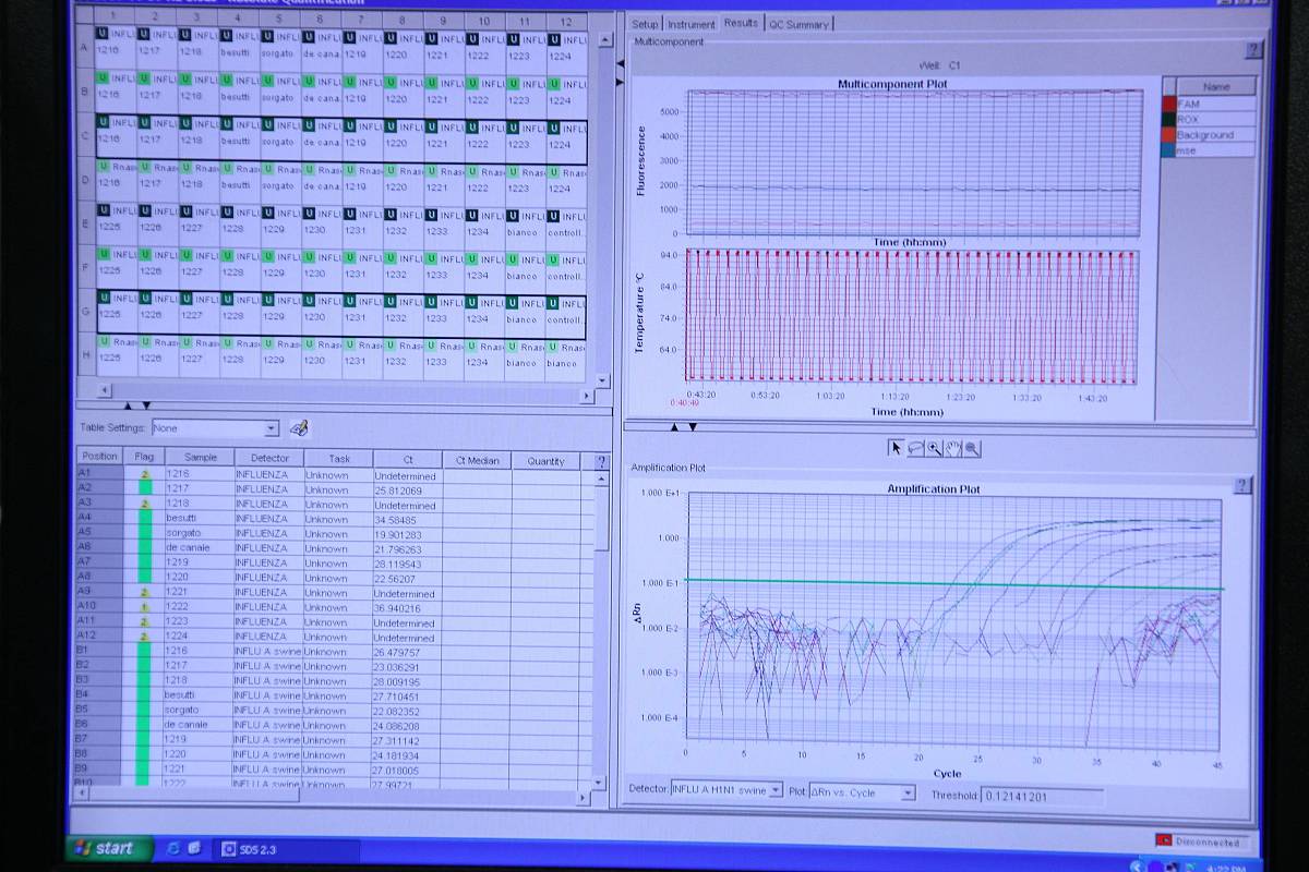 SigmaPlot 导师指导记录：提高实验数据分析和表达能力