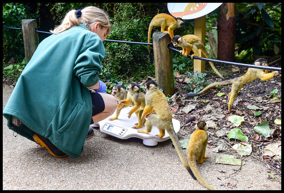 2022山西省吕梁经济管理学校招生专业有哪些