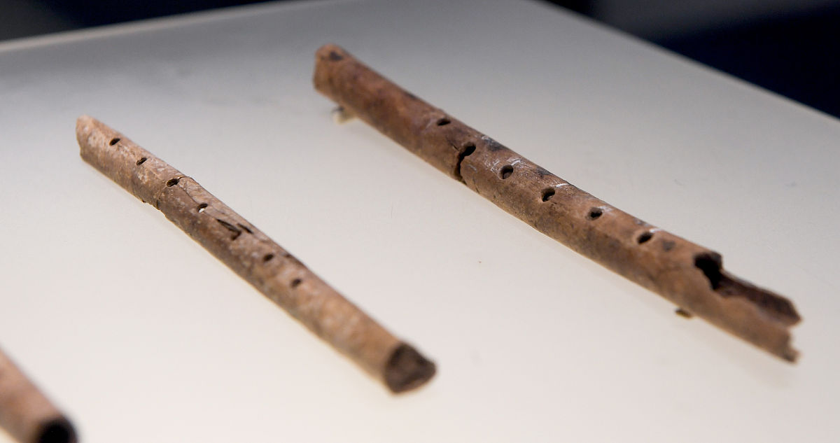 20条回复：六孔骨笛出土距今约7000年