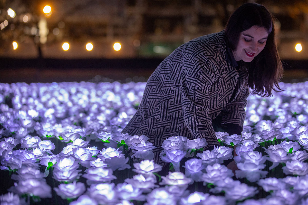 陇南师范高等专科学校艺术设计专业到底行不行设有哪些课程