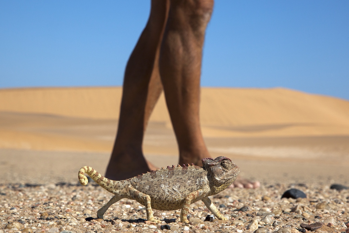 心态如何影响初中数学成绩：一项追踪研究