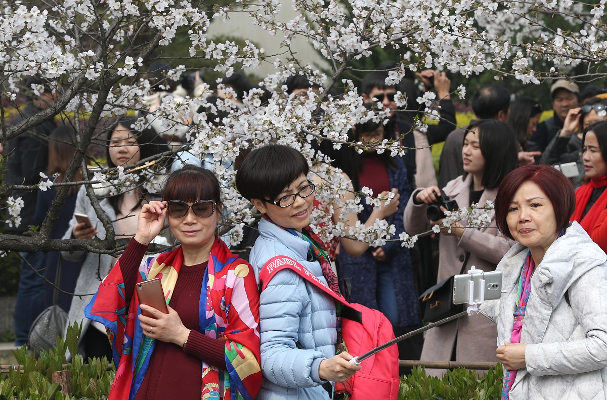 四川开放大学学位管理报告 - 提升学位授予质量，助力人才培养