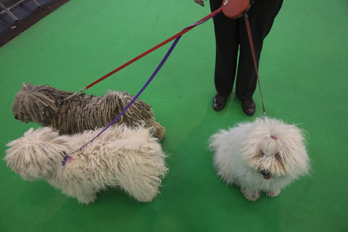 历史老师名字推荐：摆脱刻板印象，让课堂更生动