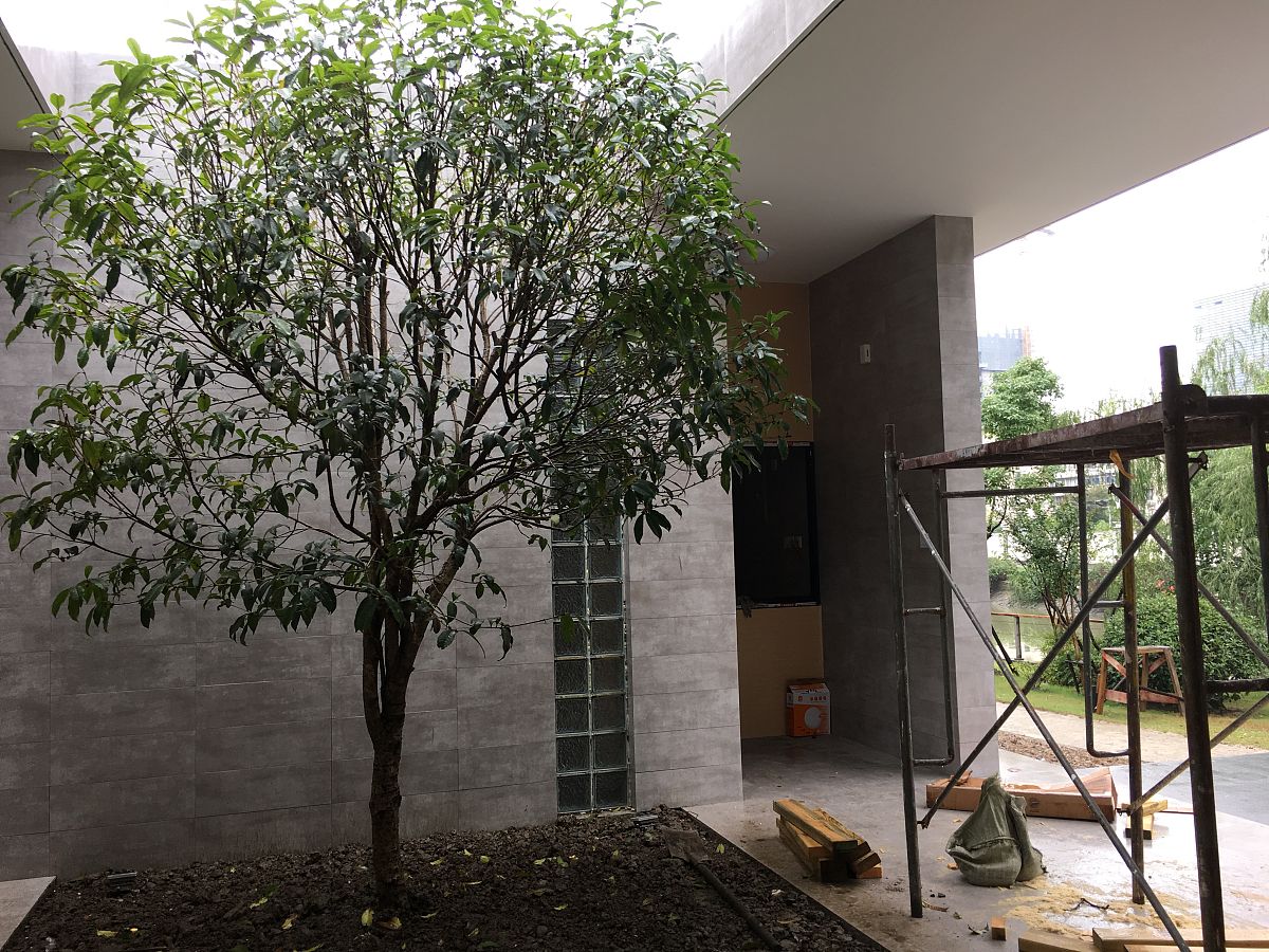 微信怎么弄成无性别
