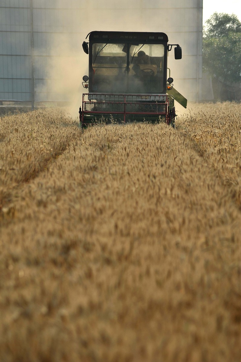 山东寿光果蔬问题如何举报？投诉电话汇总！