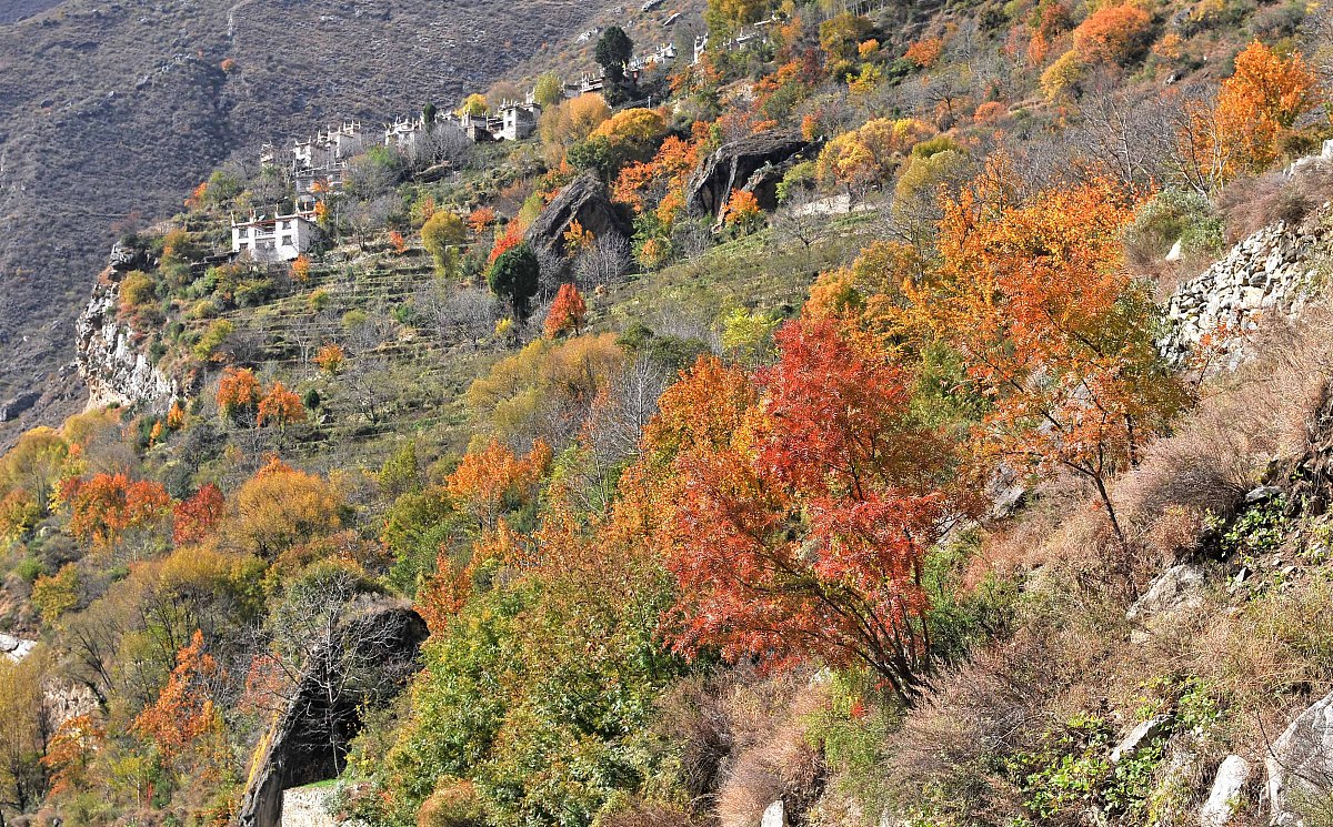 写一首关于情感的诗