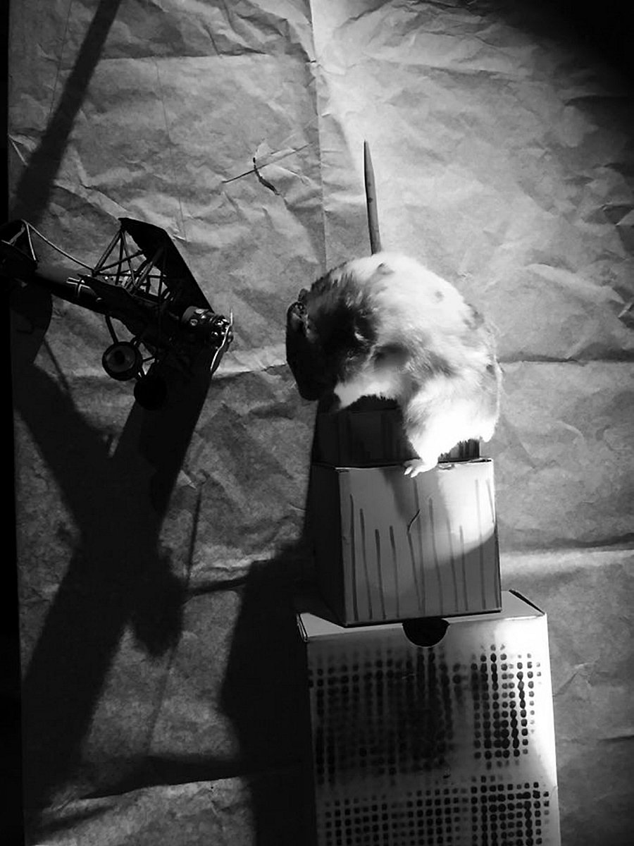 侦探小画家手游更新日志：新增绘画解谜玩法，扮演小画家侦探破解案件