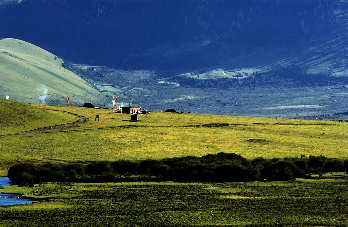 介绍一下理塘这座城市