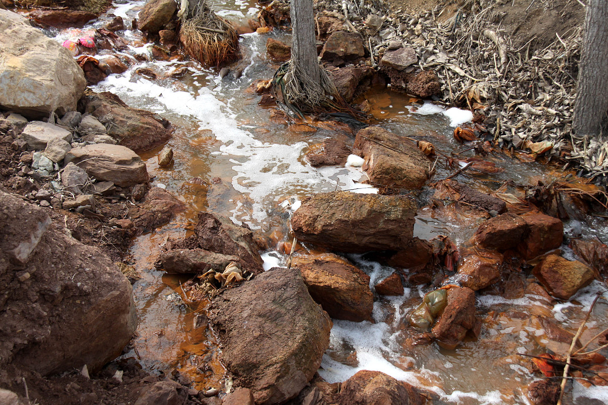 科学《河水变干净了》 1观看视频了解人类乱丢垃圾污染环境延伸到保护环境 2通过实践活动知道脏脏的河水通过多层毛巾过滤可以使水变干净。写一篇500字教学反思