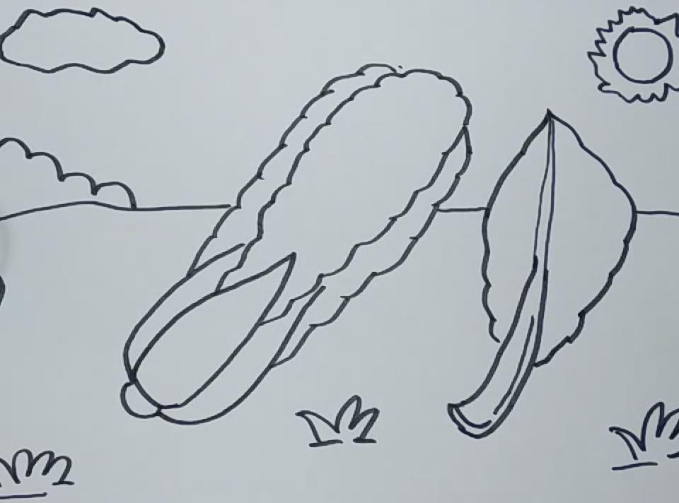 简笔画青菜 简单好学
