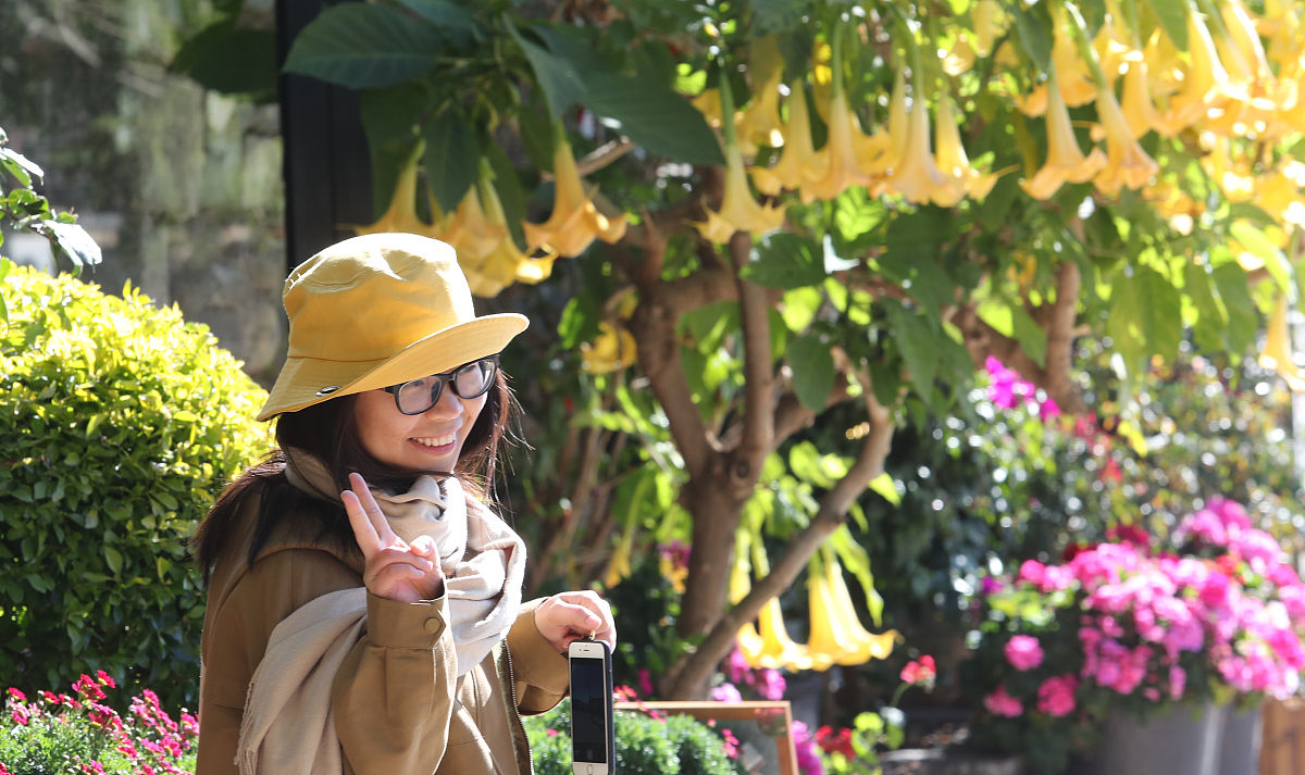 大理大学2019招生简章及计划