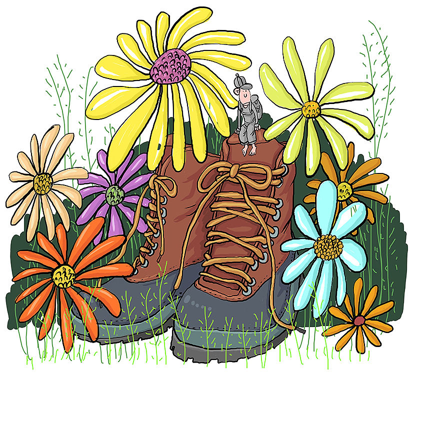 小学秋游记：金秋美景，快乐无限