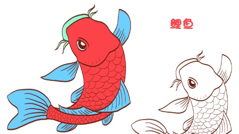 简笔画大全,鲤鱼