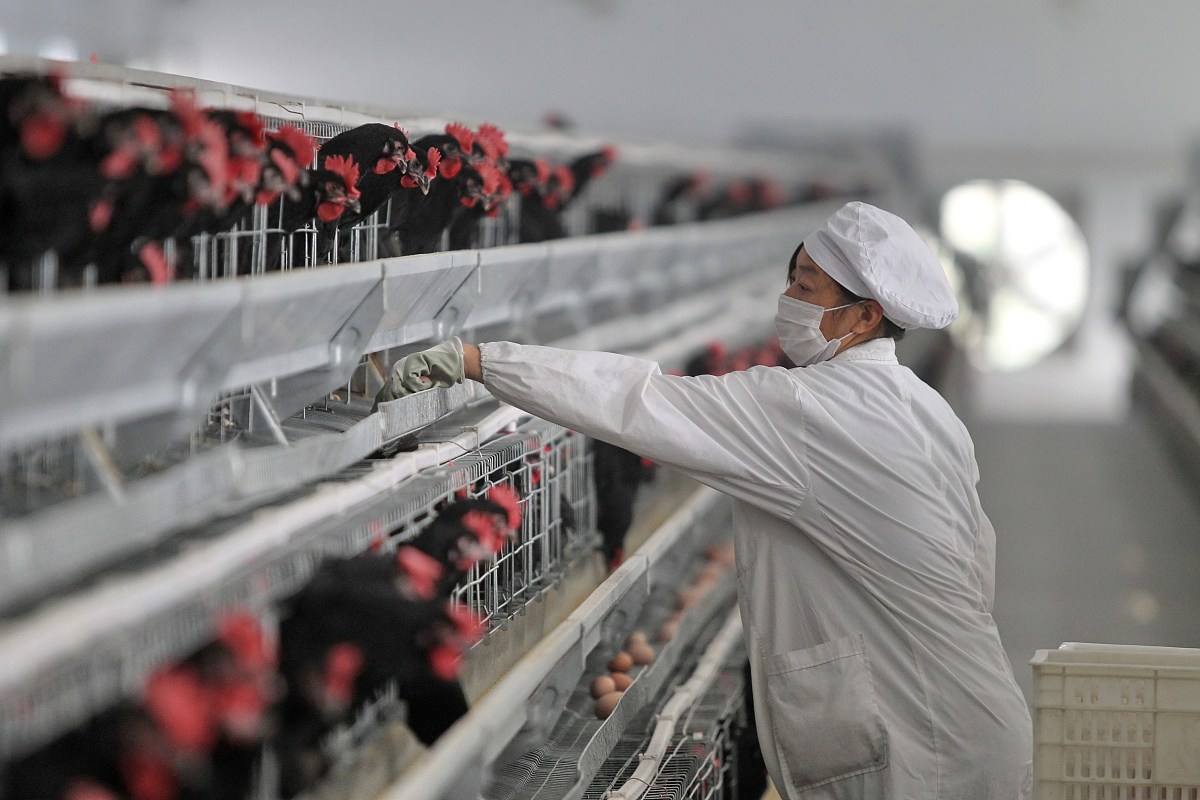 甘肃铁路工程技术专业大学推荐：哪些学校值得报考？