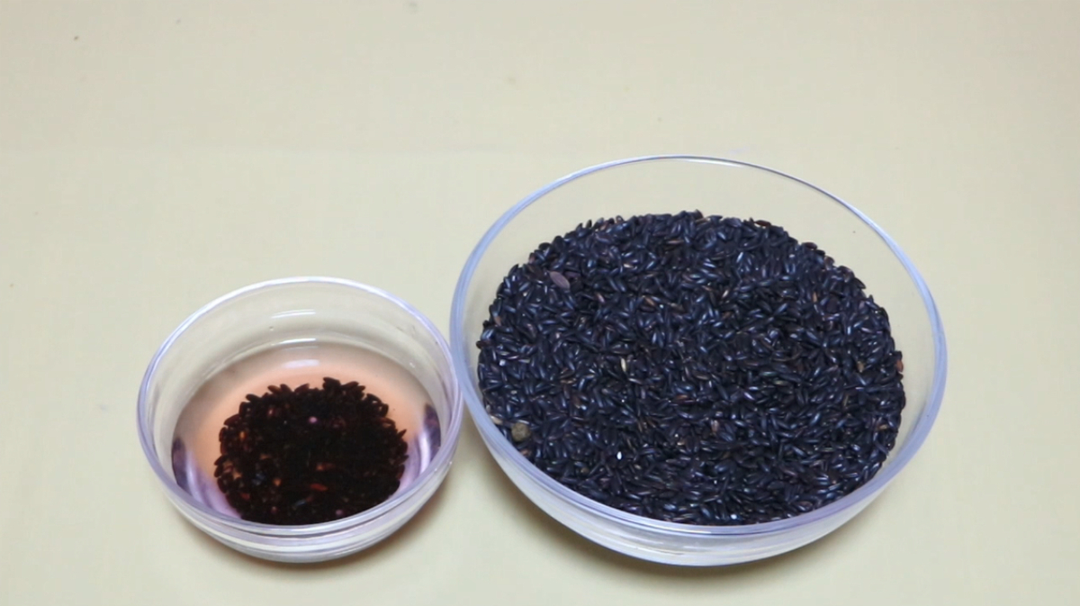 黑米是真是假,一个小动作轻松辨别,以后再也不花冤枉钱,快试试