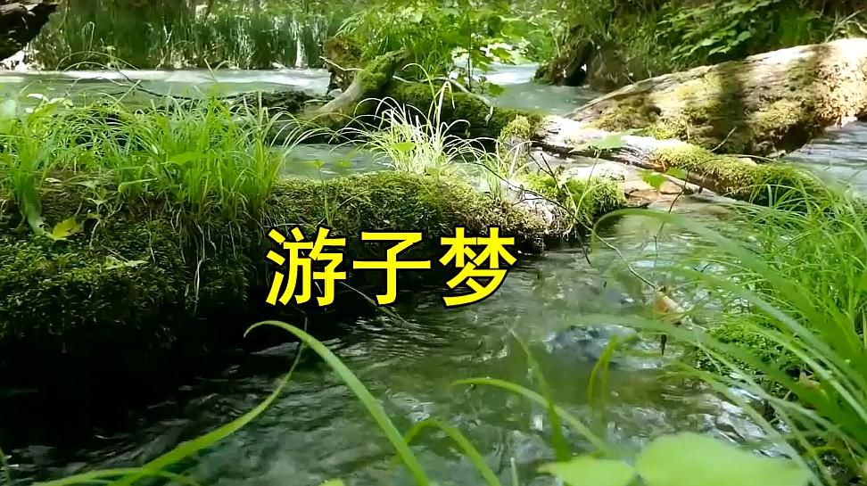 [图]一曲《游子梦》古筝版,句句入心,送给天下游子!