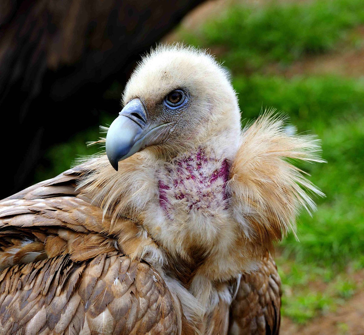 原神自抽账号店铺 - 轻松获取心仪账号，畅享游戏乐趣