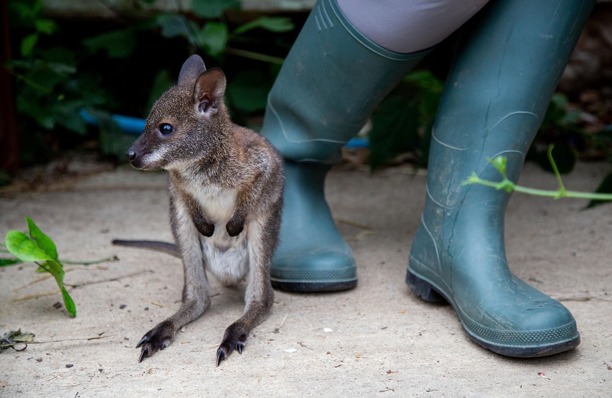 采访妈妈们对婴幼儿心理发展的认证情况写一份自己的感想。不少于800字