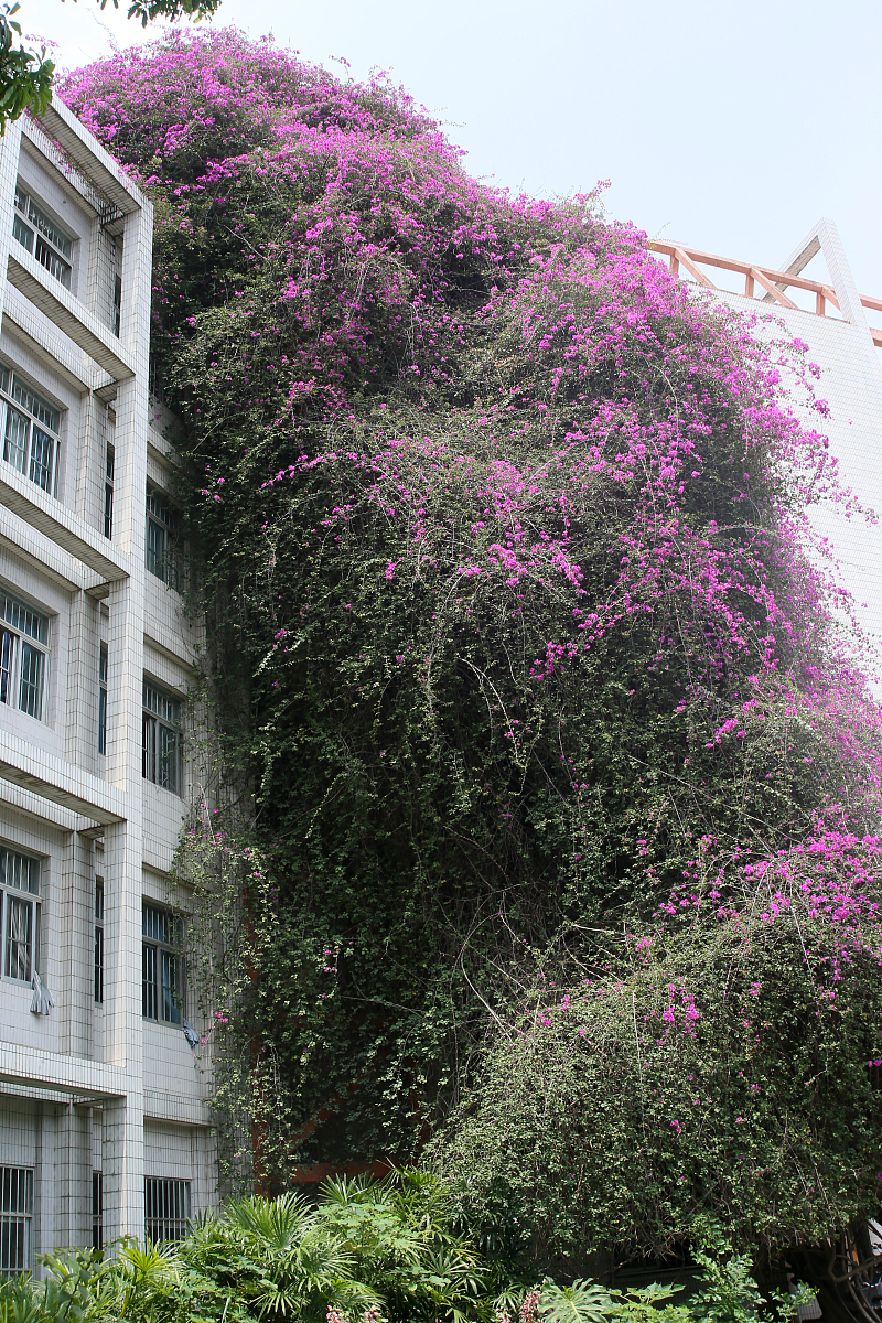 广西科技大学鹿山学院机械设计制造及其自动化专业怎么样？好学吗？