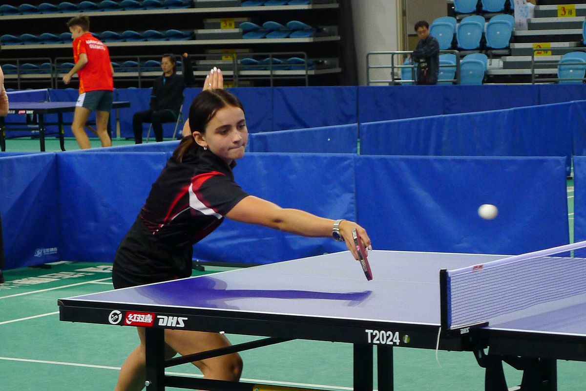 青少年模拟政协提案比赛工作总结：培养社会责任感与创新能力