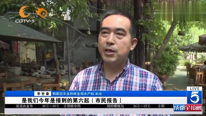 采风捡回条奇怪的东西,这是“娃娃鱼”?