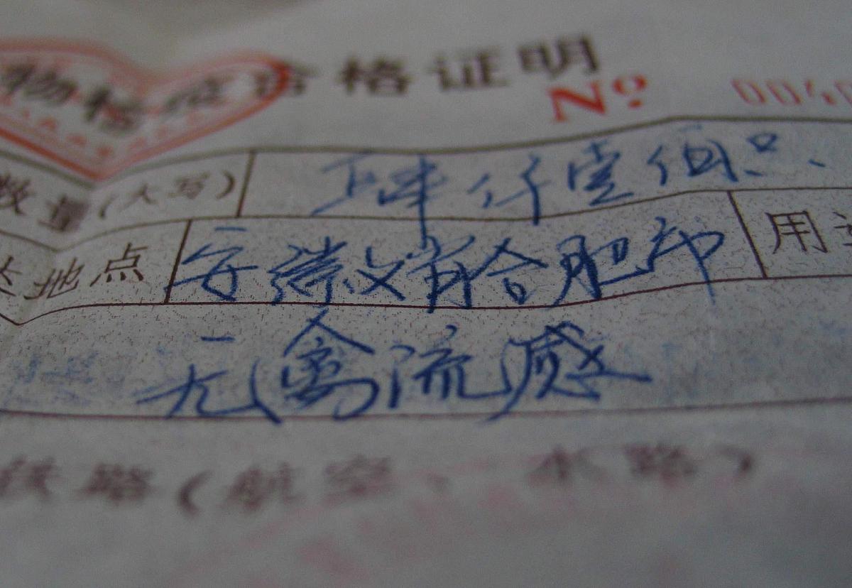 冰鲜鸡澳门进口手续流程详解
