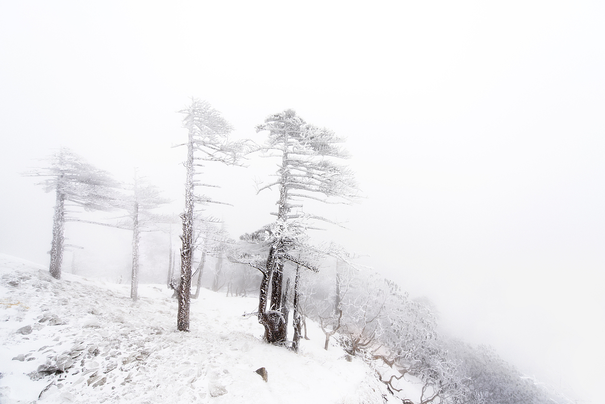 ***_***2016年01月21日,云南省大理白族自治州,苍山雪景
