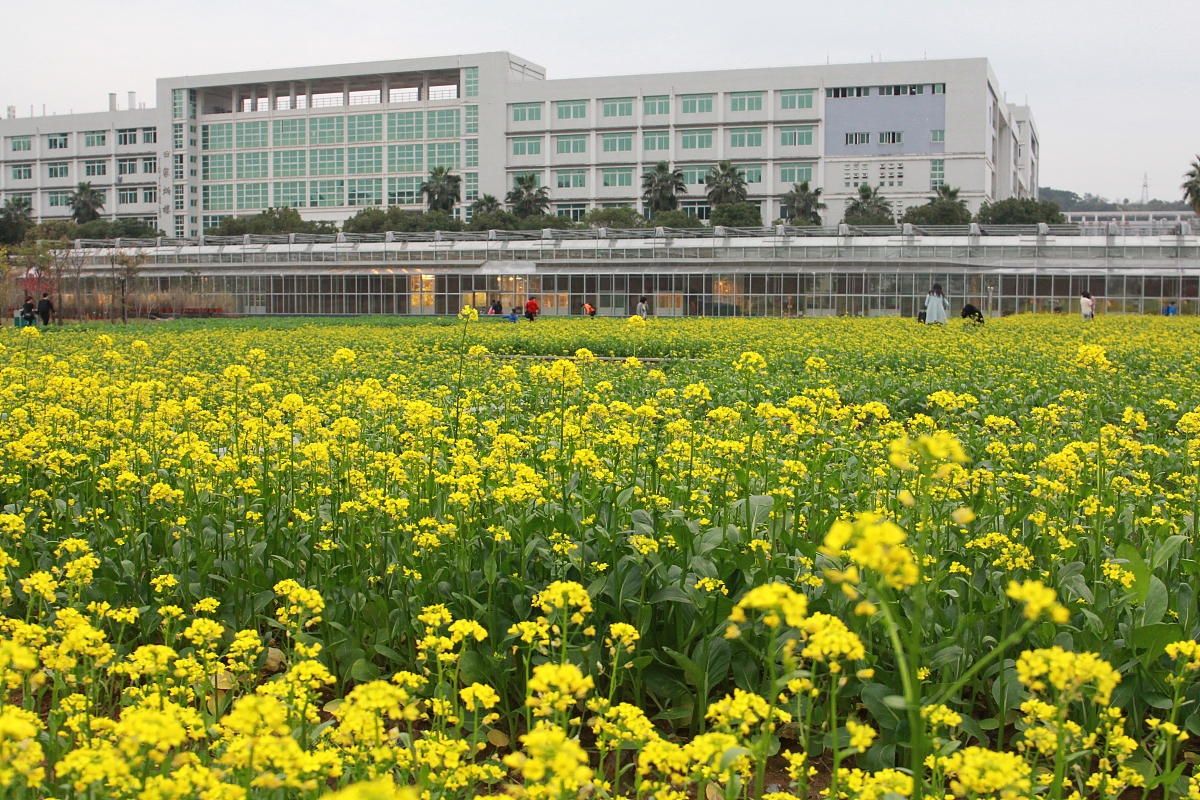 福建农林大学植物保护专业怎么样
